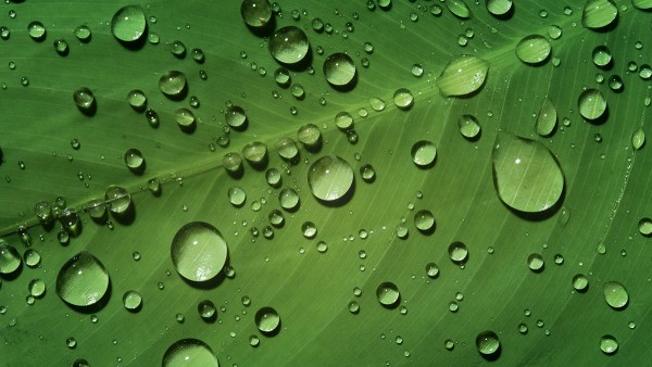 Sustainability