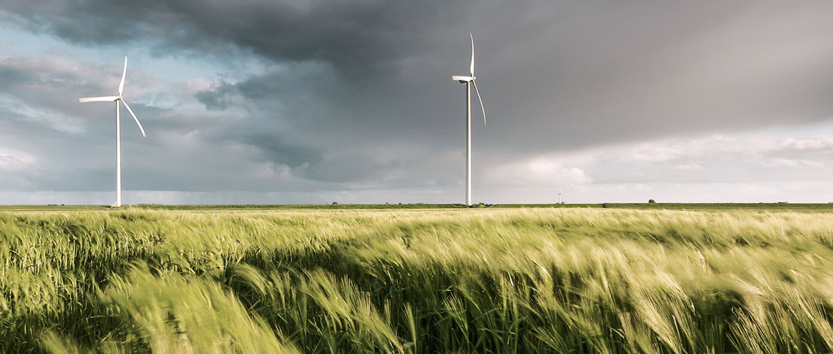 Wind Header Wind | Schaeffler Germany