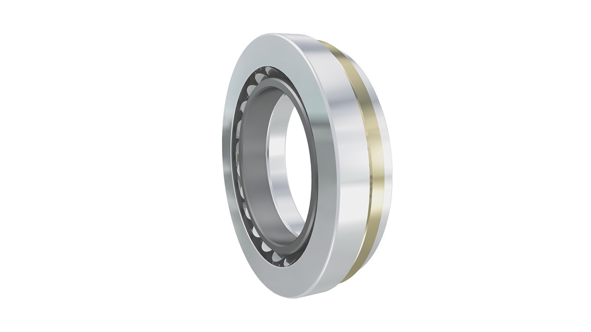 Axial spherical roller bearings Schaeffler Germany
