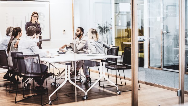 Karrieremöglichkeiten bei Schaeffler Consulting